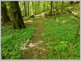 Slika_159.webp
