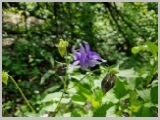 Slika_175.webp