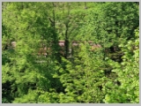 Slika_182.webp