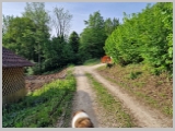 Slika_012.webp