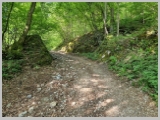 Slika_018.webp