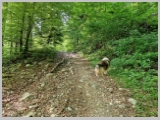 Slika_019.webp