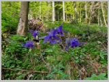 Slika_020.webp