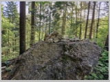 Slika_021.webp