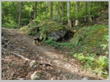 Slika_022.webp