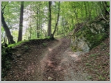 Slika_025.webp
