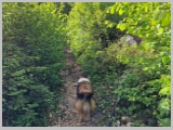 Slika_027.webp