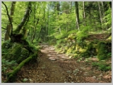 Slika_028.webp