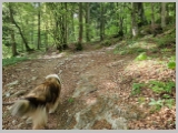 Slika_030.webp