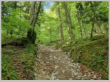 Slika_033.webp