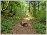 Slika_034.webp