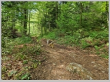 Slika_037.webp