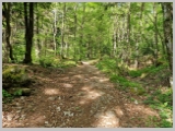 Slika_042.webp