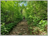 Slika_043.webp