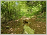 Slika_045.webp