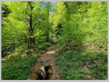 Slika_047.webp