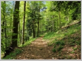 Slika_050.webp