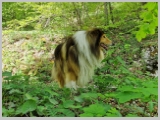 Slika_053.webp