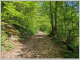 Slika_056.webp