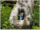 Slika_057.webp