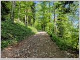 Slika_058.webp