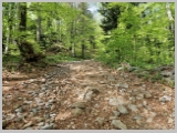 Slika_062.webp