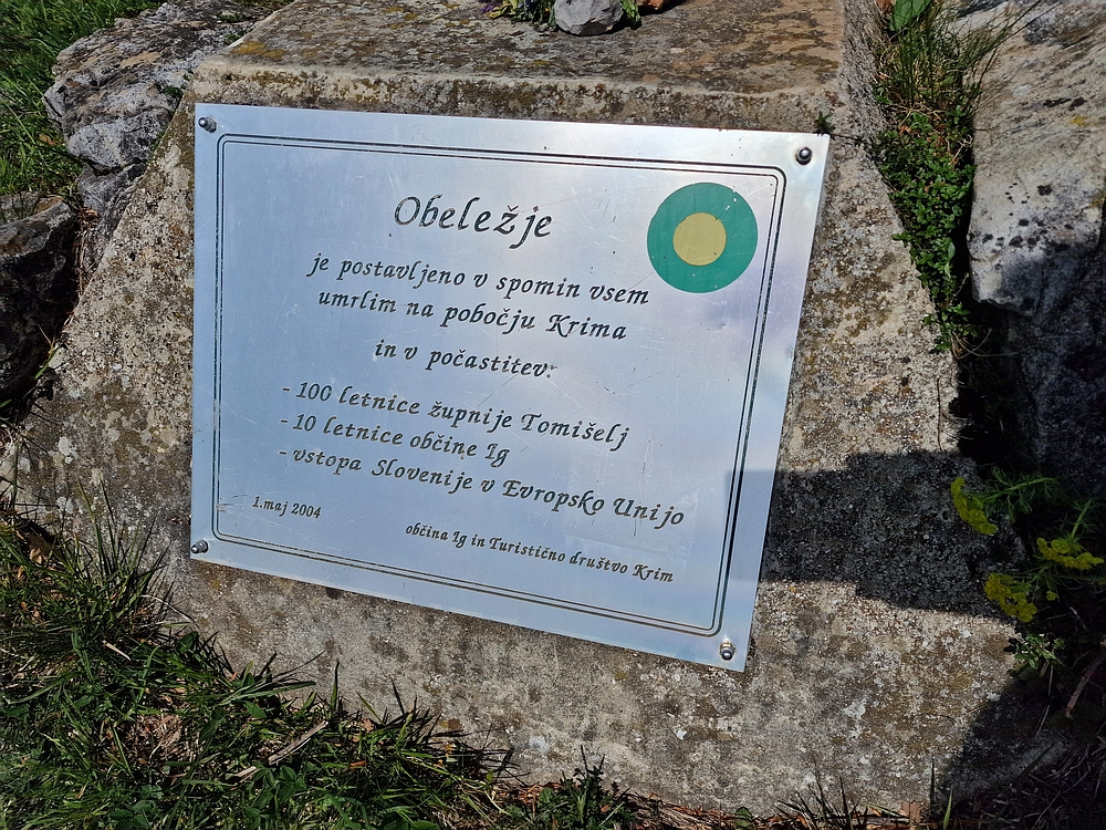 Slika je vidna v Google Chromu.