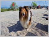 Slika_082.webp
