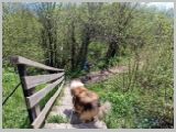 Slika_094.webp