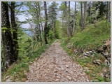 Slika_107.webp