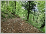 Slika_122.webp
