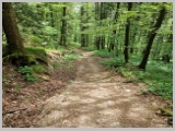 Slika_130.webp