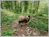 Slika_131.webp