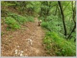 Slika_134.webp
