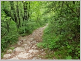 Slika_135.webp
