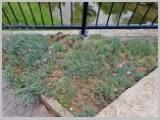 Slika_148.webp