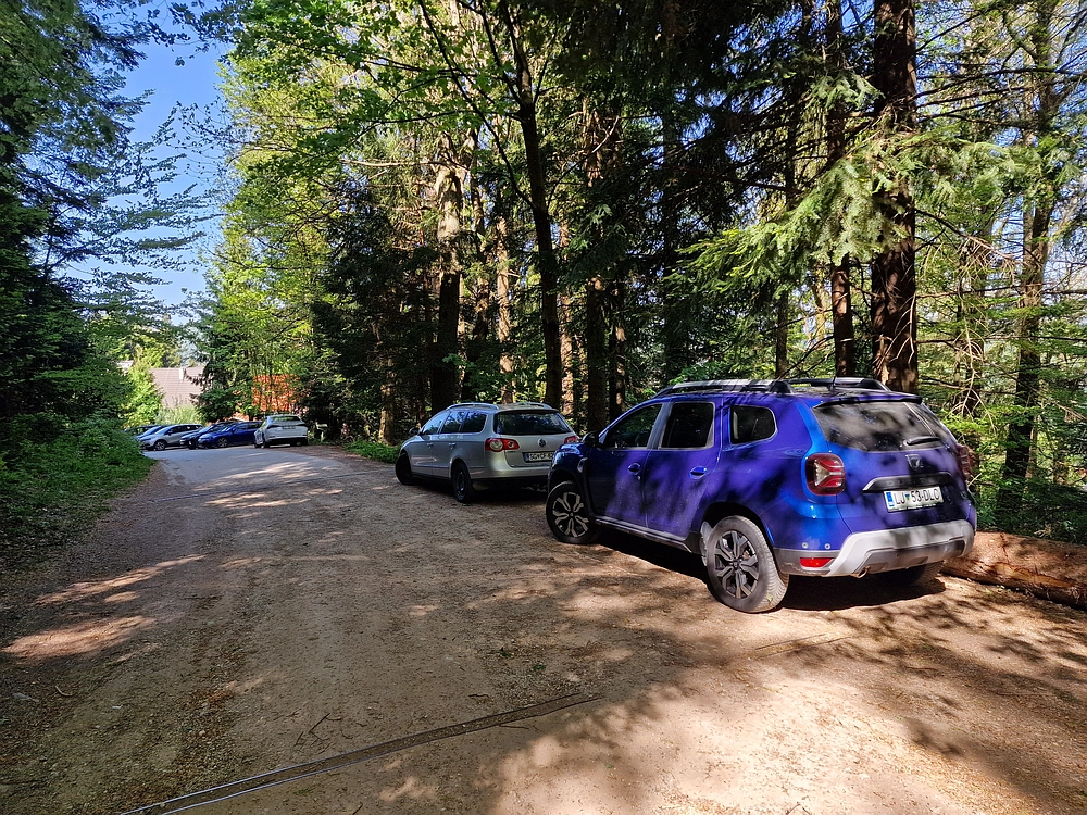 Slika je vidna v Google Chromu.