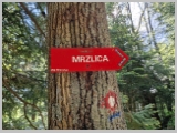 Slika_003.webp