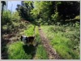 Slika_005.webp