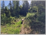 Slika_006.webp