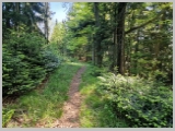 Slika_007.webp