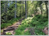 Slika_010.webp