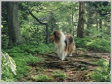 Slika_011.webp