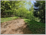 Slika_014.webp