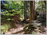Slika_015.webp
