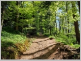 Slika_018.webp