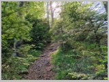 Slika_020.webp