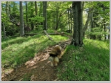 Slika_022.webp