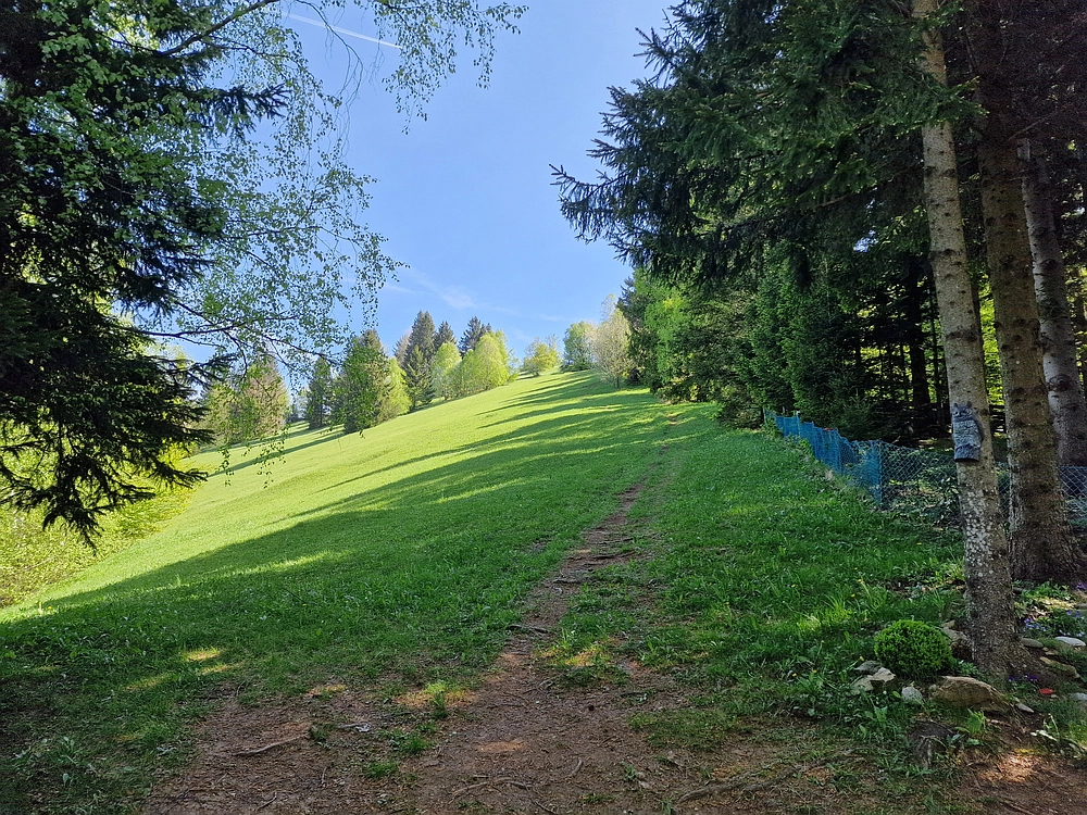 Slika je vidna v Google Chromu.