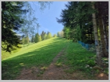 Slika_025.webp